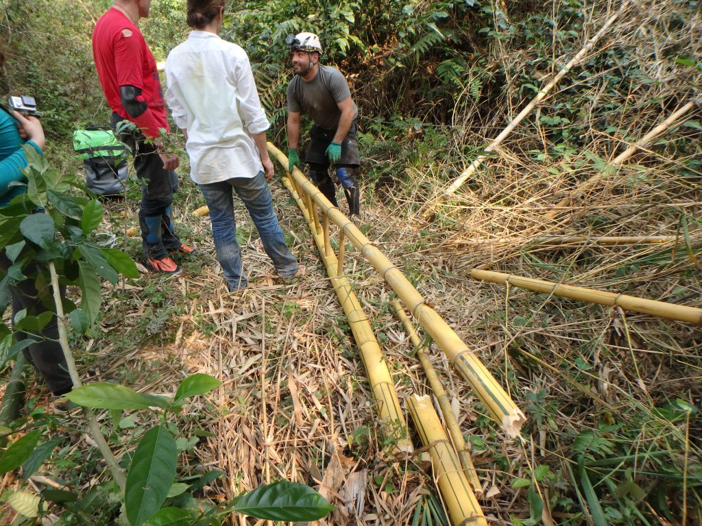 echelle bambou
